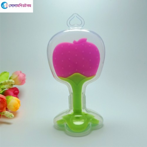  Baby Fruit Teether with Storage Box 