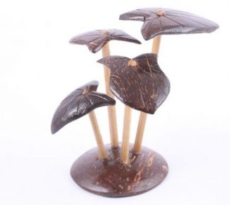  Natural Coconut Shell Tropical Root Leaf 