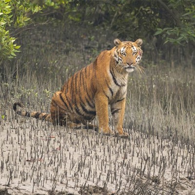 Khulna Division
