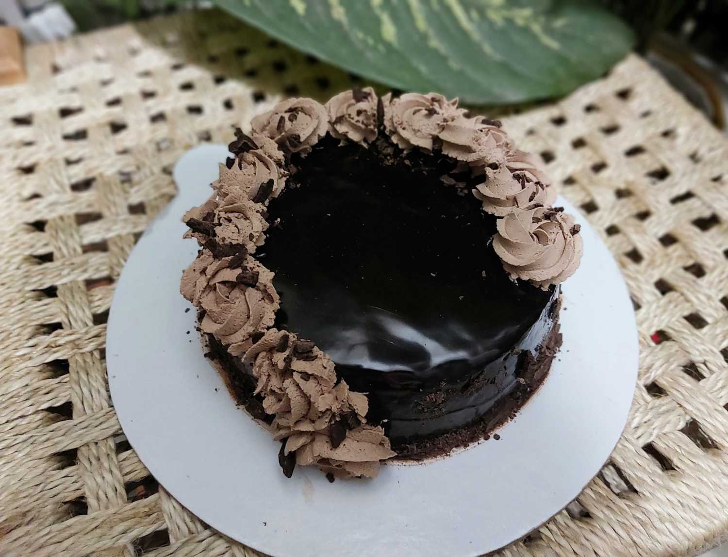  Whipped Cream Frosting Chocolate Cake - 500gm(Only for Dhaka City) 