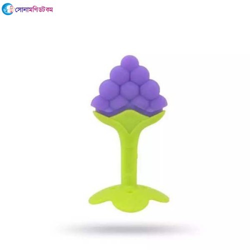  Baby Fruit Teether 