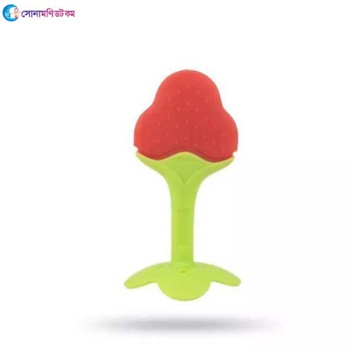  Baby Fruit Teether 