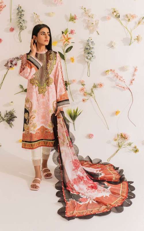  Buy Salwar Kameez Online At Low Price 