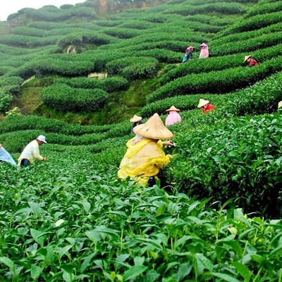 Sylhet Division