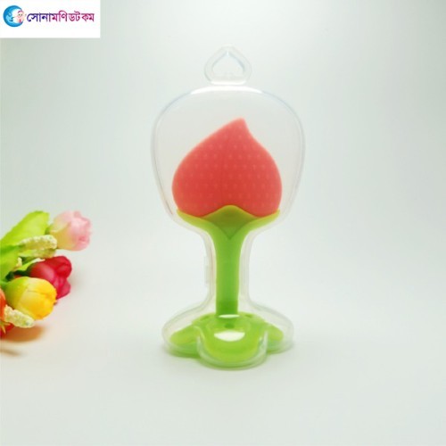 Baby Fruit Teether with Storage Box 